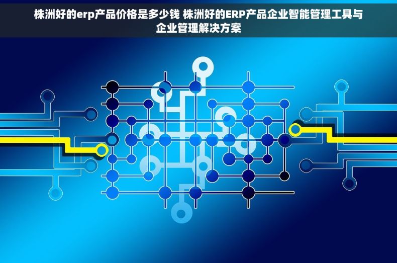 株洲好的erp产品价格是多少钱 株洲好的ERP产品企业智能管理工具与企业管理解决方案