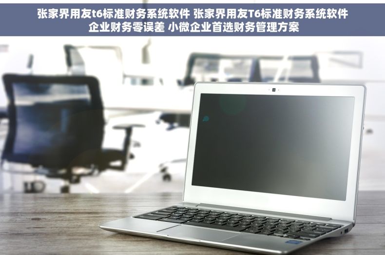 张家界用友t6标准财务系统软件 张家界用友T6标准财务系统软件 企业财务零误差 小微企业首选财务管理方案