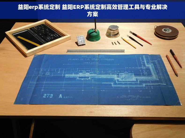 益阳erp系统定制 益阳ERP系统定制高效管理工具与专业解决方案