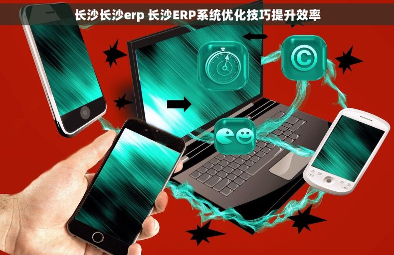 长沙长沙erp 长沙ERP系统优化技巧提升效率