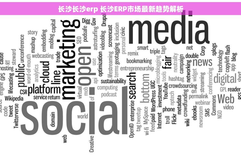 长沙长沙erp 长沙ERP市场最新趋势解析