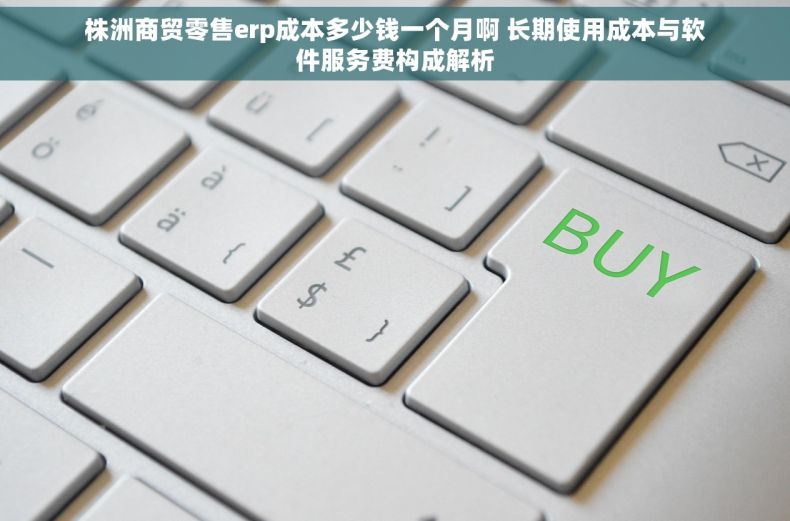 株洲商贸零售erp成本多少钱一个月啊 长期使用成本与软件服务费构成解析