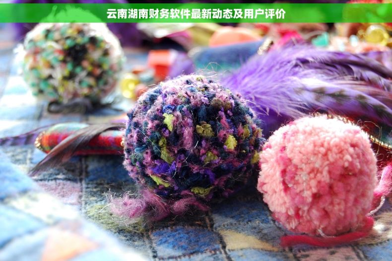 云南湖南财务软件最新动态及用户评价