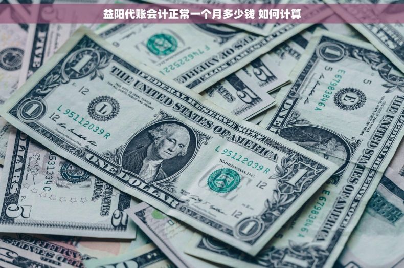 益阳代账会计正常一个月多少钱 如何计算