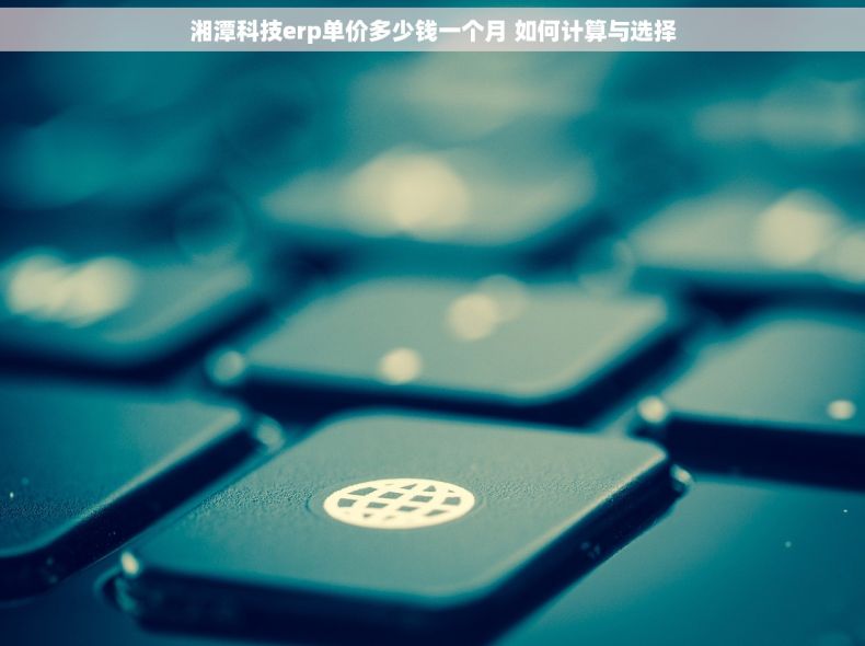 湘潭科技erp单价多少钱一个月 如何计算与选择