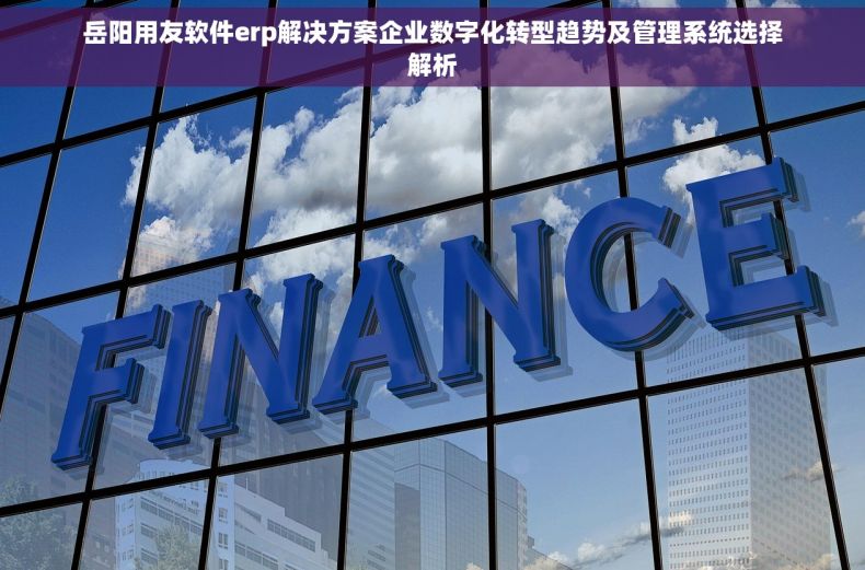 岳阳用友软件erp解决方案企业数字化转型趋势及管理系统选择解析