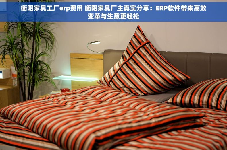 衡阳家具工厂erp费用 衡阳家具厂主真实分享：ERP软件带来高效变革与生意更轻松