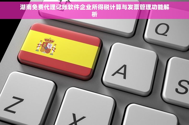 湖南免费代理记账软件企业所得税计算与发票管理功能解析