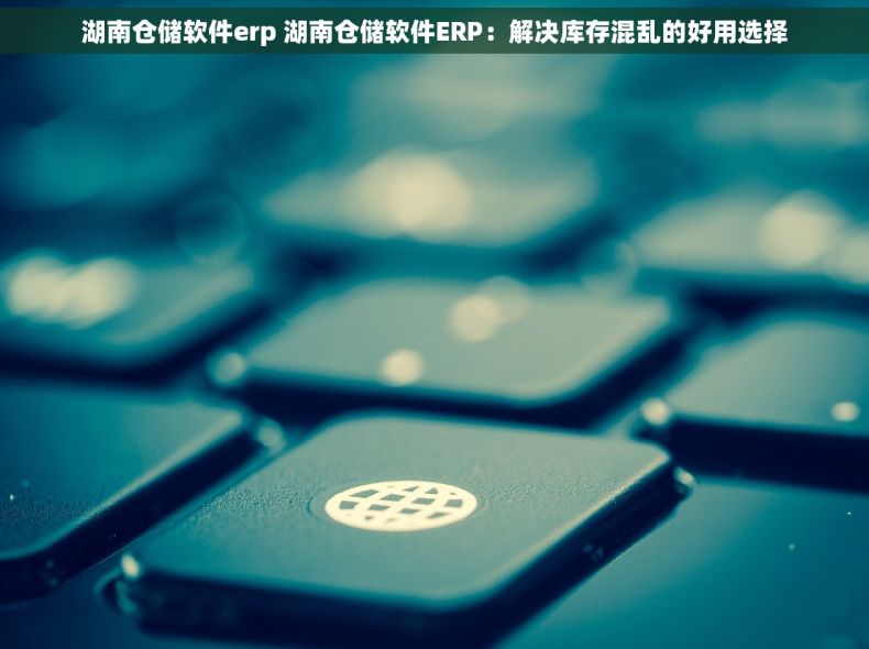 湖南仓储软件erp 湖南仓储软件ERP：解决库存混乱的好用选择
