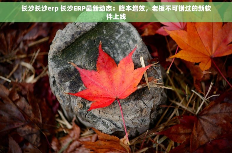 长沙长沙erp 长沙ERP最新动态：降本增效，老板不可错过的新软件上线
