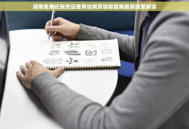 湖南免费记账凭证使用说明及领取指南最新政策解读