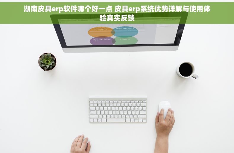 湖南皮具erp软件哪个好一点 皮具erp系统优势详解与使用体验真实反馈