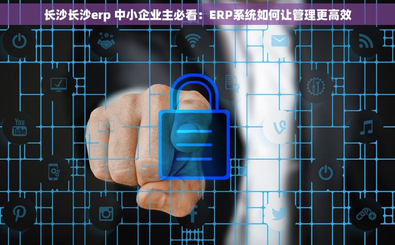 长沙长沙erp 中小企业主必看：ERP系统如何让管理更高效