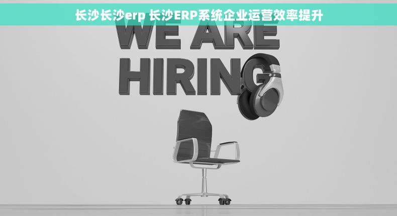长沙长沙erp 长沙ERP系统企业运营效率提升