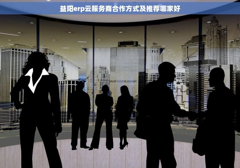 益阳erp云服务商合作方式及推荐哪家好