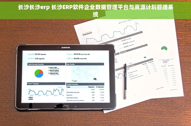 长沙长沙erp 长沙ERP软件企业数据管理平台与资源计划管理系统