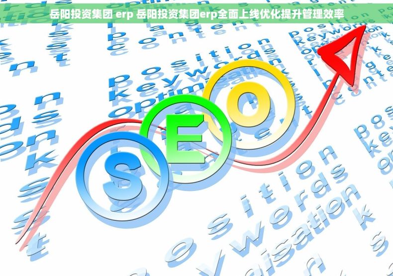 岳阳投资集团 erp 岳阳投资集团erp全面上线优化提升管理效率