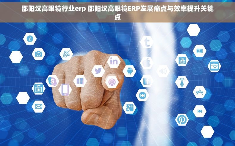邵阳汉高眼镜行业erp 邵阳汉高眼镜ERP发展痛点与效率提升关键点
