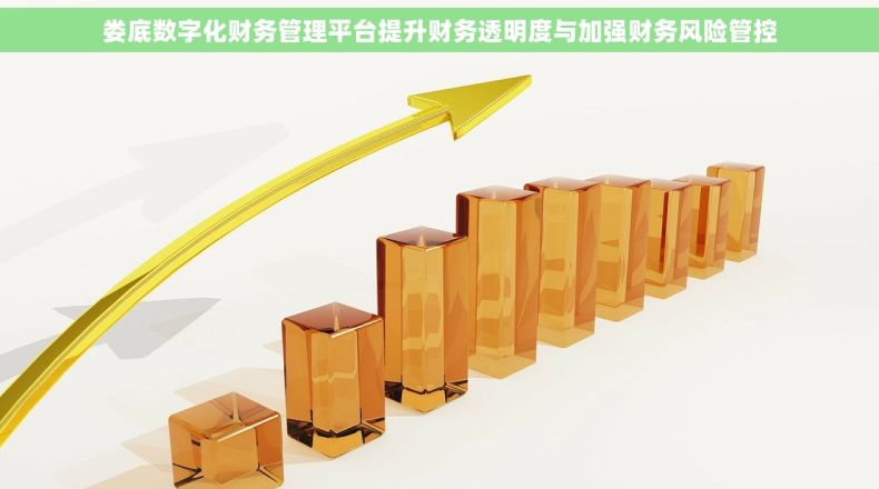 娄底数字化财务管理平台提升财务透明度与加强财务风险管控