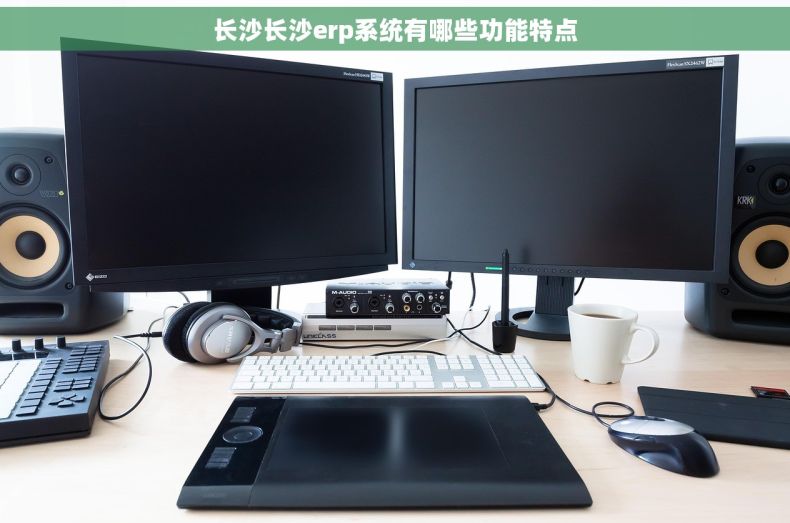 长沙长沙erp系统有哪些功能特点