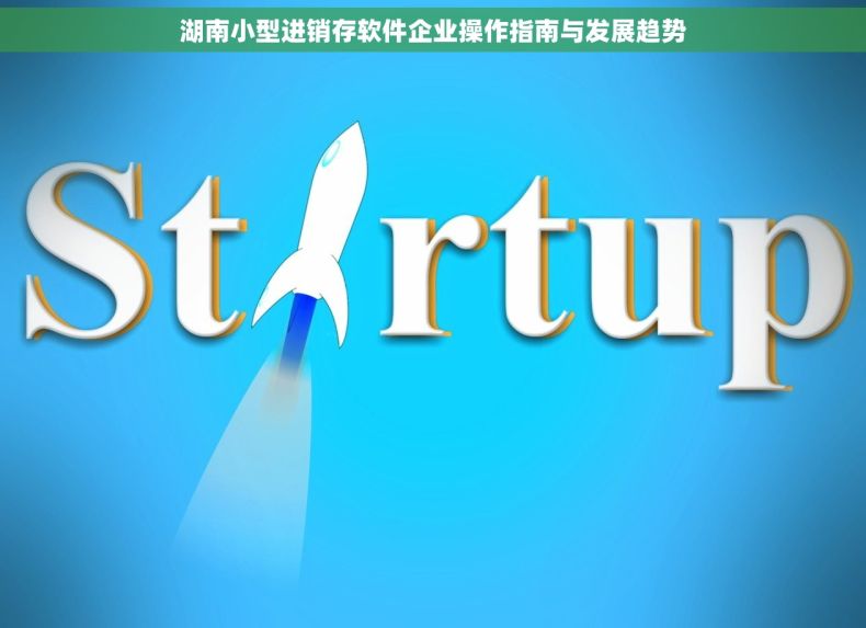 湖南小型进销存软件企业操作指南与发展趋势