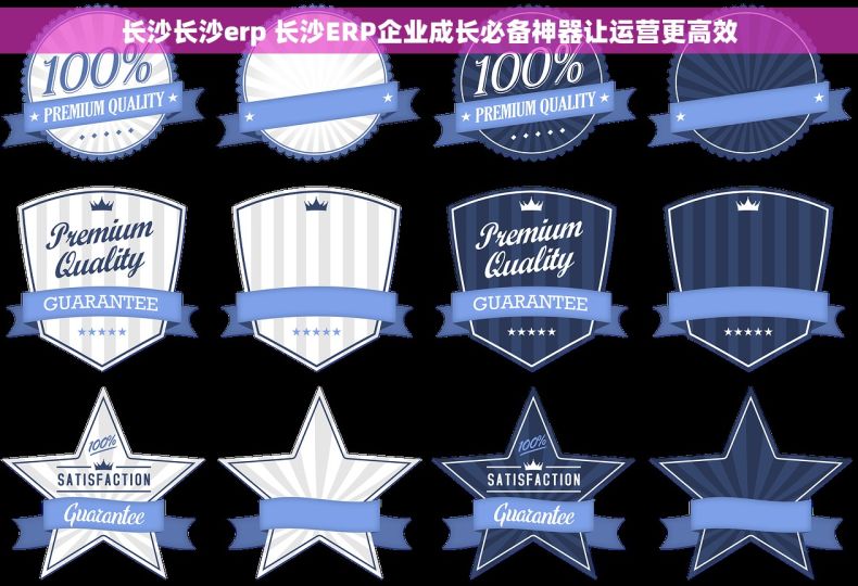 长沙长沙erp 长沙ERP企业成长必备神器让运营更高效