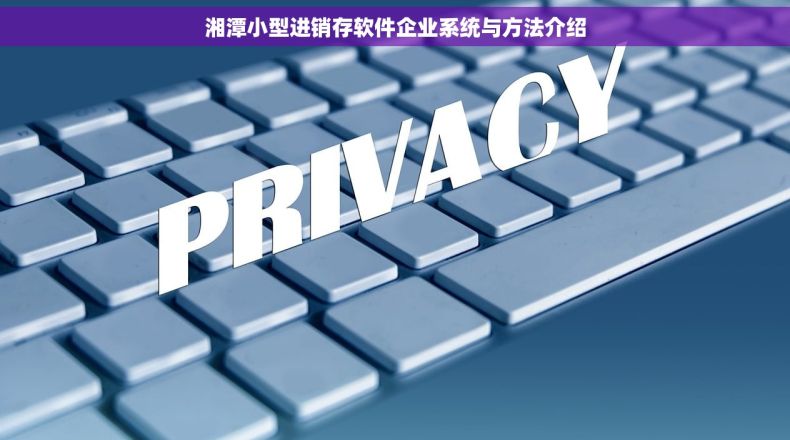 湘潭小型进销存软件企业系统与方法介绍