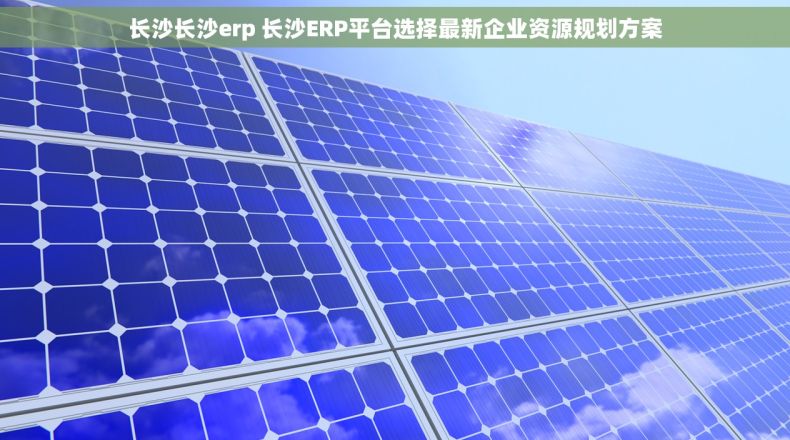 长沙长沙erp 长沙ERP平台选择最新企业资源规划方案