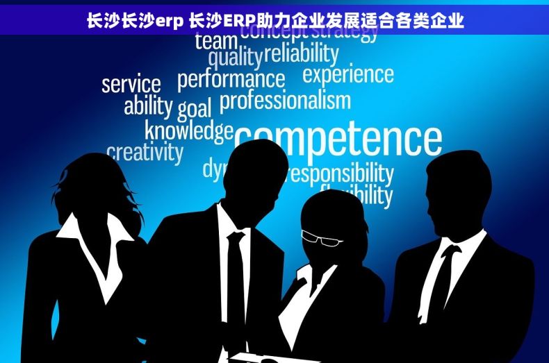 长沙长沙erp 长沙ERP助力企业发展适合各类企业