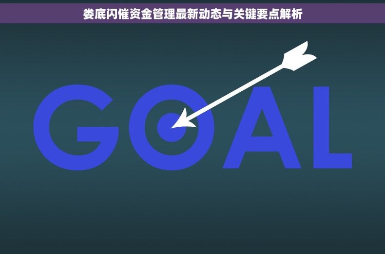 娄底闪催资金管理最新动态与关键要点解析