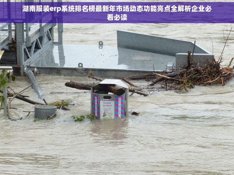 湖南服装erp系统排名榜最新年市场动态功能亮点全解析企业必看必读
