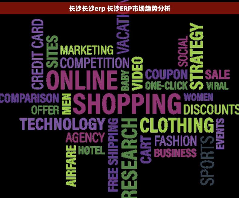 长沙长沙erp 长沙ERP市场趋势分析
