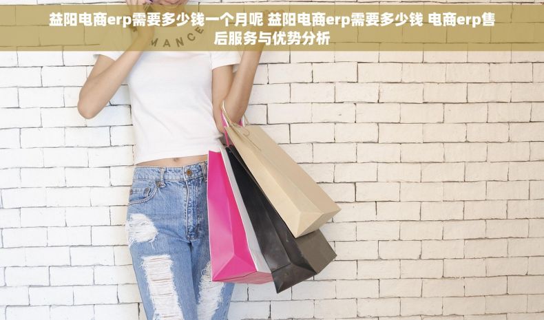 益阳电商erp需要多少钱一个月呢 益阳电商erp需要多少钱 电商erp售后服务与优势分析