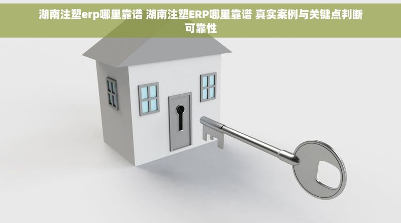 湖南注塑erp哪里靠谱 湖南注塑ERP哪里靠谱 真实案例与关键点判断可靠性