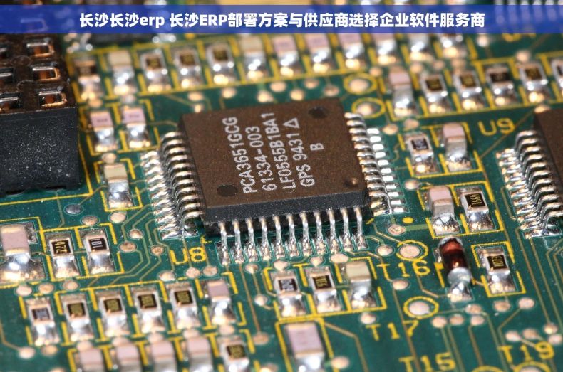长沙长沙erp 长沙ERP部署方案与供应商选择企业软件服务商