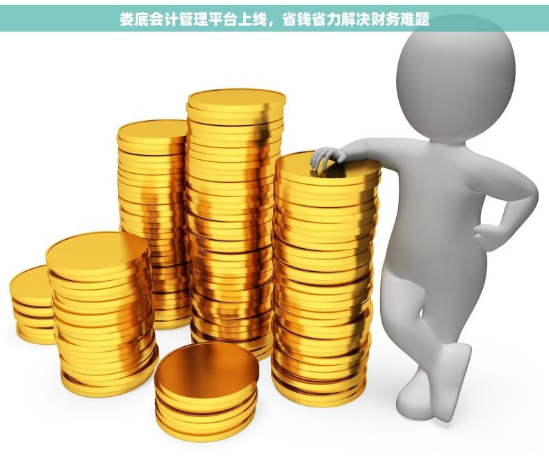 娄底会计管理平台上线，省钱省力解决财务难题