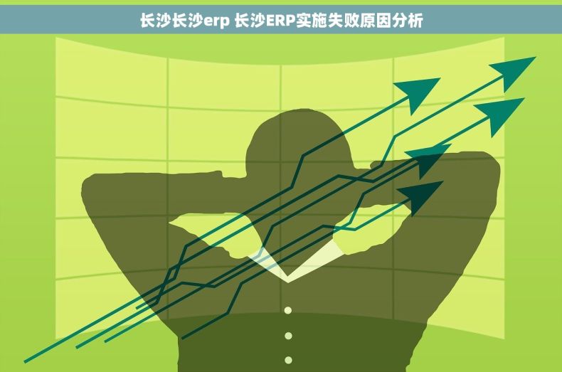 长沙长沙erp 长沙ERP实施失败原因分析