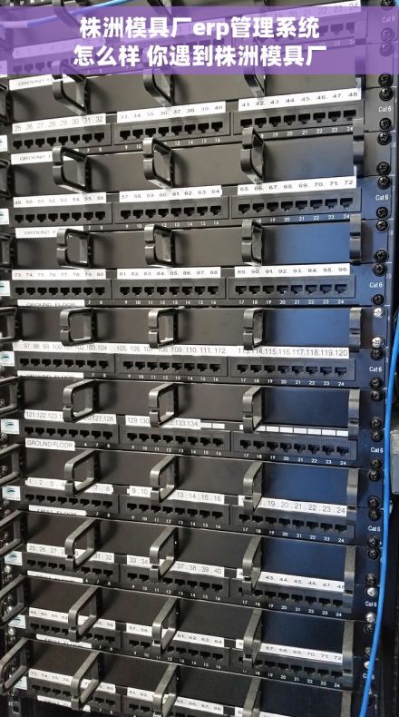 株洲模具厂erp管理系统怎么样 你遇到株洲模具厂ERP问题了吗？还在为株洲模具厂ERP系统发愁？