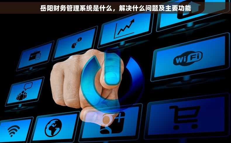 岳阳财务管理系统是什么，解决什么问题及主要功能