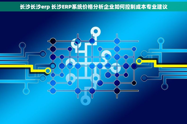 长沙长沙erp 长沙ERP系统价格分析企业如何控制成本专业建议