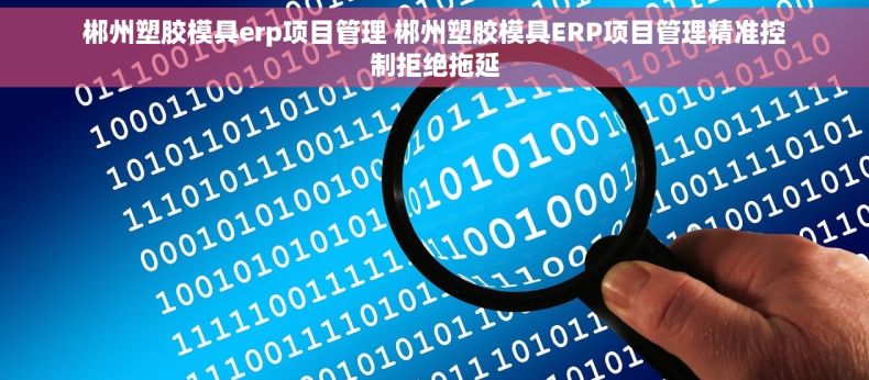 郴州塑胶模具erp项目管理 郴州塑胶模具ERP项目管理精准控制拒绝拖延