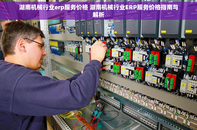 湖南机械行业erp服务价格 湖南机械行业ERP服务价格指南与解析