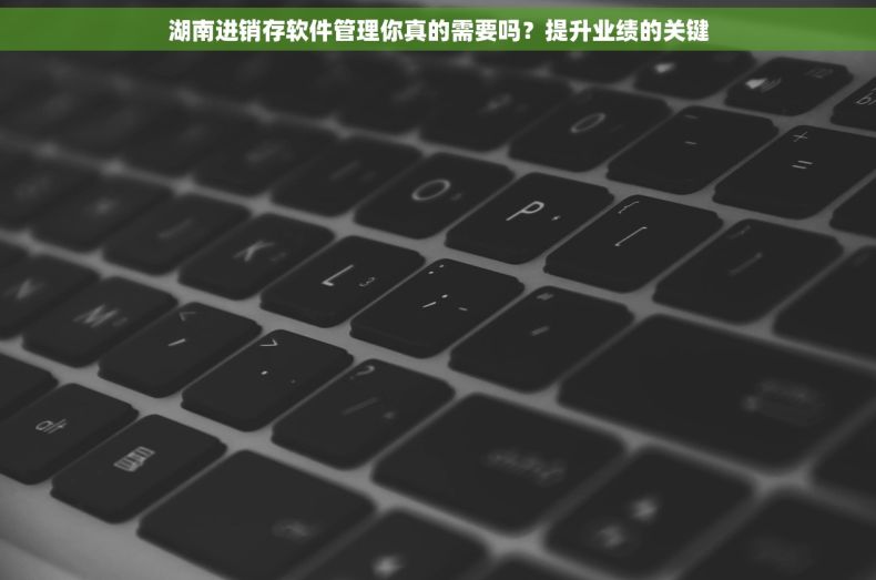 湖南进销存软件管理你真的需要吗？提升业绩的关键