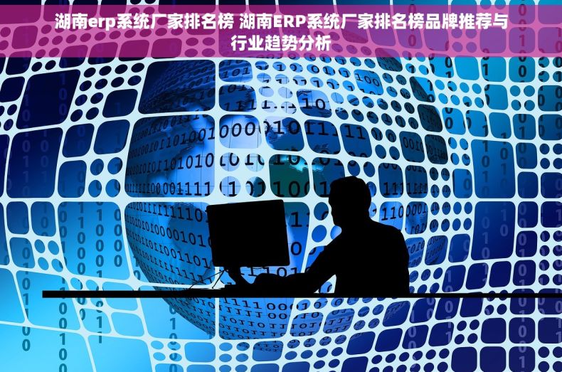 湖南erp系统厂家排名榜 湖南ERP系统厂家排名榜品牌推荐与行业趋势分析