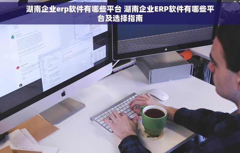 湖南企业erp软件有哪些平台 湖南企业ERP软件有哪些平台及选择指南