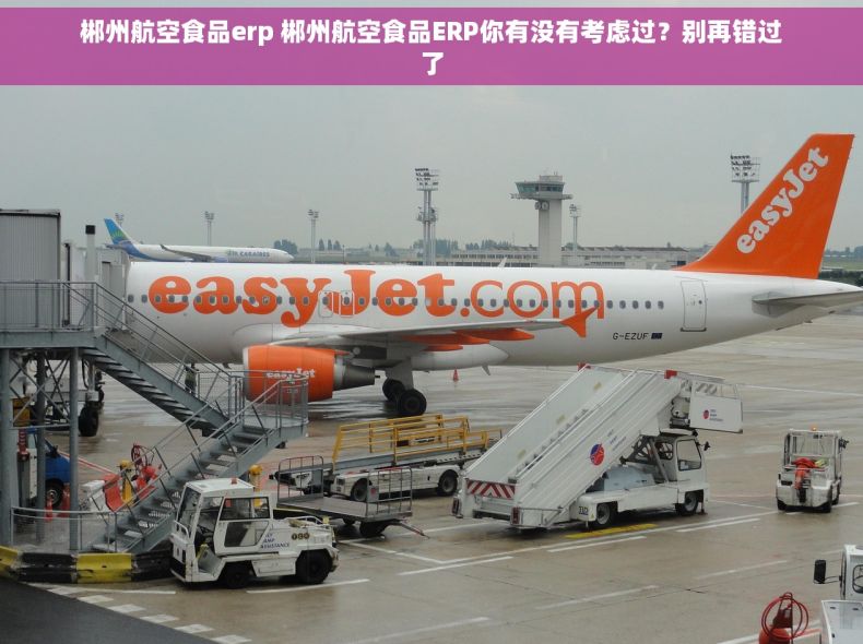 郴州航空食品erp 郴州航空食品ERP你有没有考虑过？别再错过了