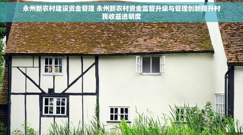 永州新农村建设资金管理 永州新农村资金监管升级与管理创新提升村民收益透明度