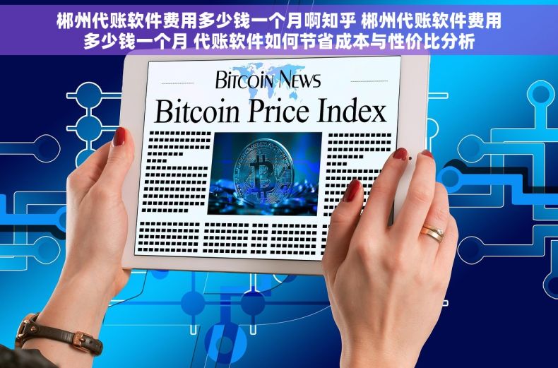 郴州代账软件费用多少钱一个月啊知乎 郴州代账软件费用多少钱一个月 代账软件如何节省成本与性价比分析