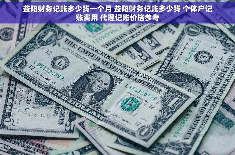 益阳财务记账多少钱一个月 益阳财务记账多少钱 个体户记账费用 代理记账价格参考