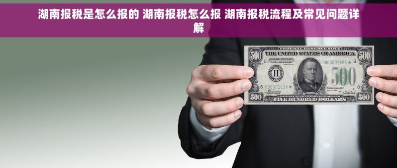 湖南报税是怎么报的 湖南报税怎么报 湖南报税流程及常见问题详解